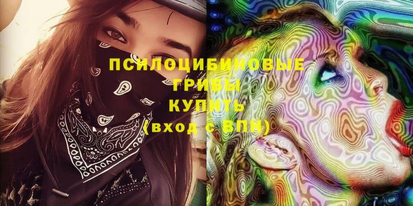 ГАЛЛЮЦИНОГЕННЫЕ ГРИБЫ Россошь