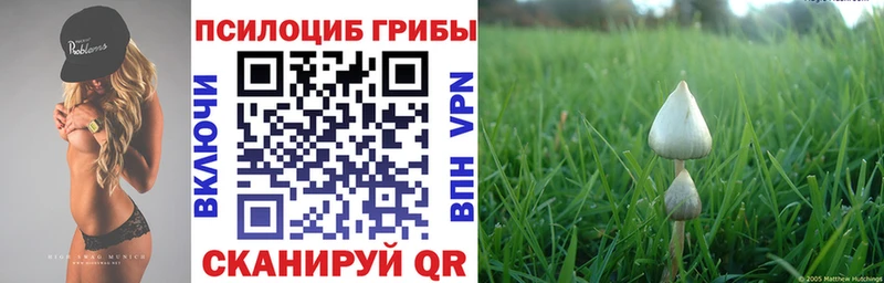 сколько стоит  Невельск  Галлюциногенные грибы Psilocybine cubensis 
